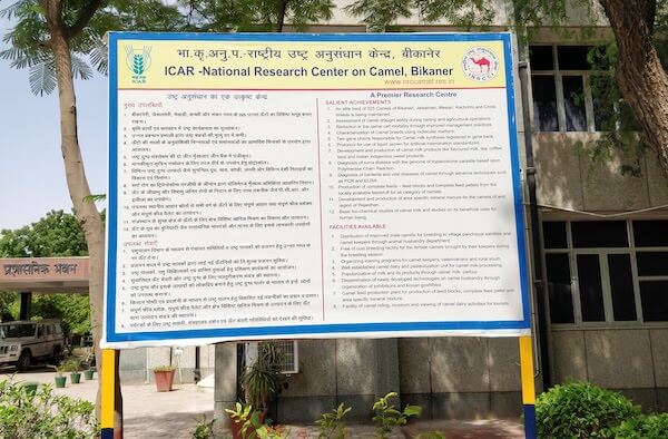 National Research Centre On Camel, Bikaner 