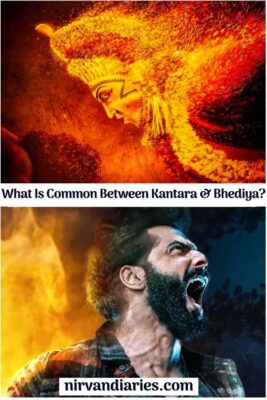 What Is Common Between Kantara And Bhediya?