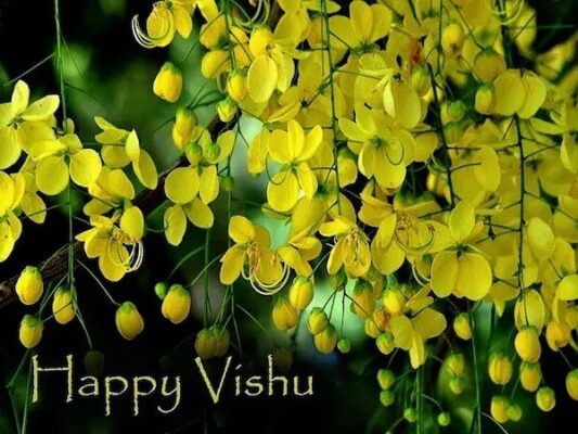 Vishu Wishes In English With Images