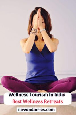 Wellness Tourism In India 