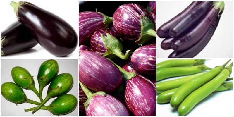 Brinjal Recipes - From India And The World