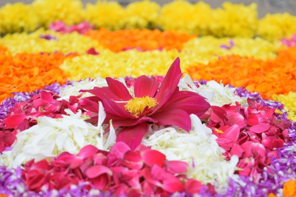 Onam Festival Essay-Pookkalam