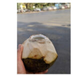 Amazing Benefits Of Drinking Tender Coconut Water