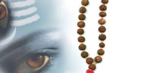 202 Best Mahashivratri Quotes In Sanskrit & Shivratri Wishes